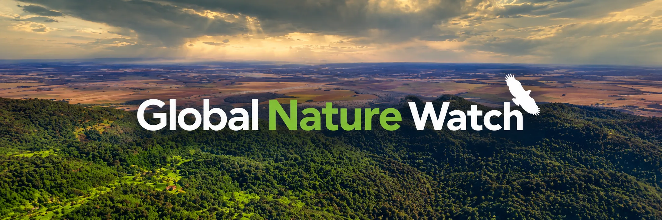 Logotipo de Global Nature