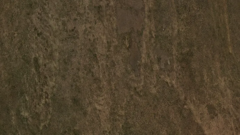 Imagen PlanetScope cerca del Parque Nacional Defensores del Chaco (20,275 S, 61,675 O) en agosto de 2017: dosel de bosque seco nativo continuo, sin desmonte visible.