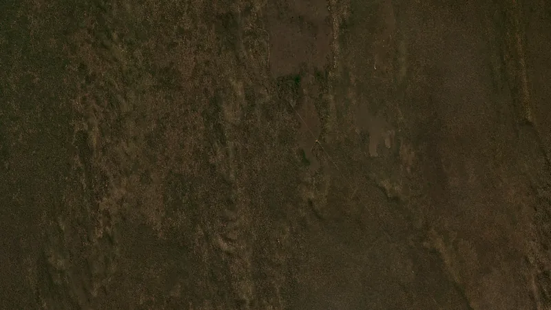 Imagen PlanetScope del mismo sitio protegido en agosto de 2024: dosel continuo de bosque nativo, sin desmonte visible, visualmente idéntica a 2017.