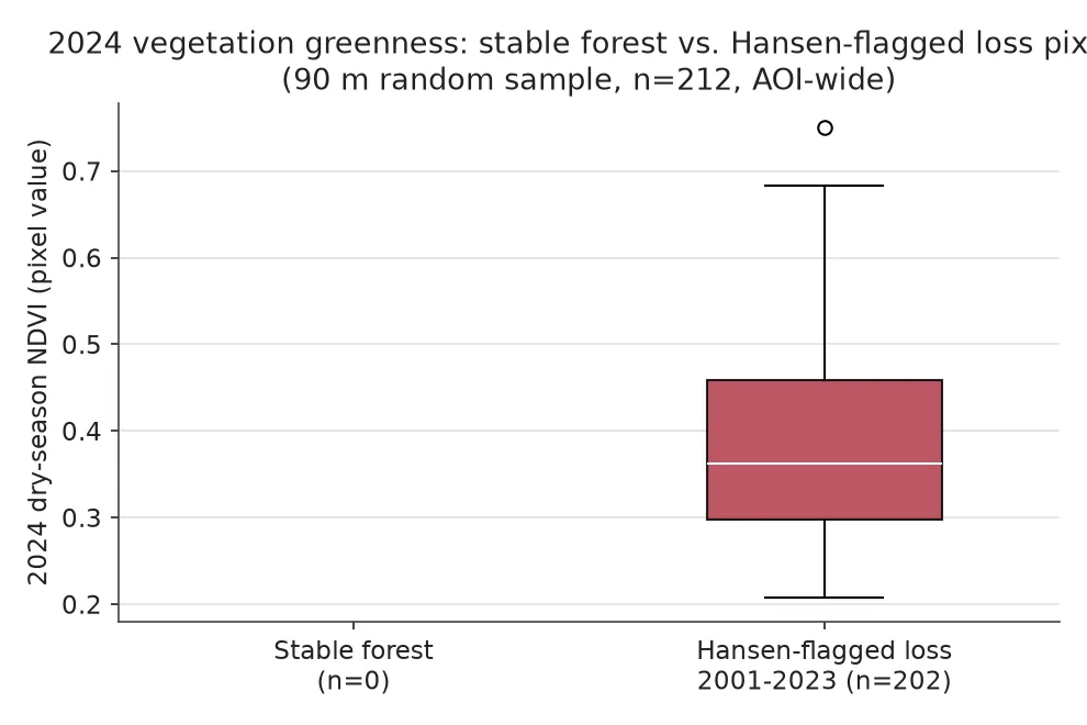 Boxplot comparando NDVI 2024 de dos grupos de píxeles: bosque estable con mediana cerca de 0,62 y píxeles con pérdida Hansen con mediana cerca de 0,35, sobre una muestra de 212 puntos.