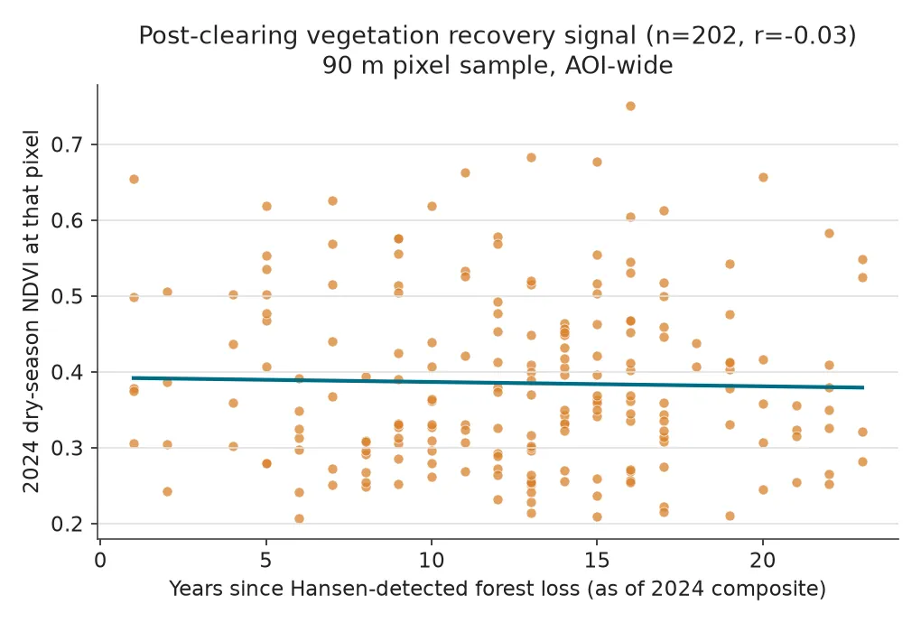 Gráfico de dispersión de años transcurridos desde la pérdida detectada por Hansen versus NDVI 2024 en 202 píxeles, con línea de regresión casi plana y coeficiente de correlación r igual a -0,03.