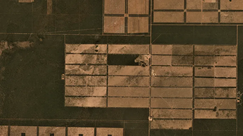 Imagen PlanetScope de 3 metros del foco A (21,025 S, 60,175 O) en agosto de 2017: alrededor de media escena convertida en una grilla geométrica de pasturas separadas por cortinas forestales.