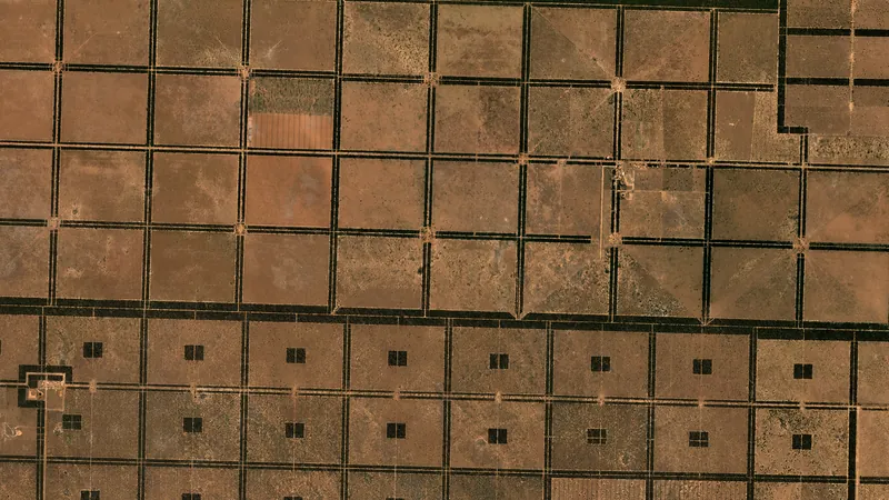Imagen PlanetScope del mismo sitio en agosto de 2024: el damero de desmonte cubre ya la gran mayoría del cuadro y el bosque quedó reducido a franjas delgadas.
